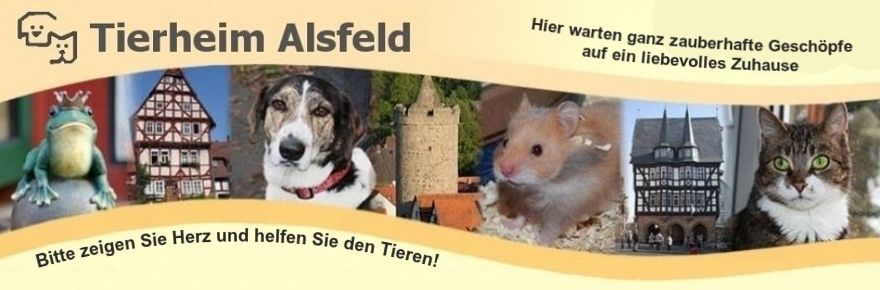 Tierheim Alsfeld